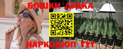 стаф Моздок