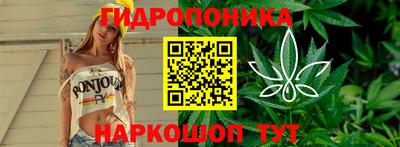 стаф Малгобек