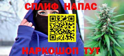 стаф Малгобек