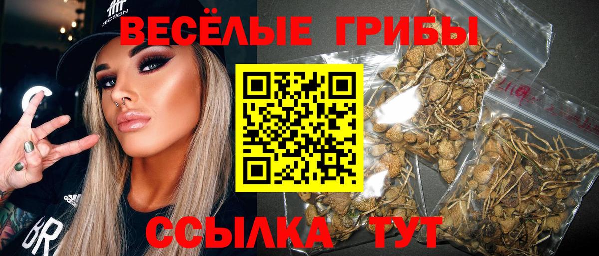 Шадринск  Галлюциногенные грибы Magic Shrooms  Вход с VPN 