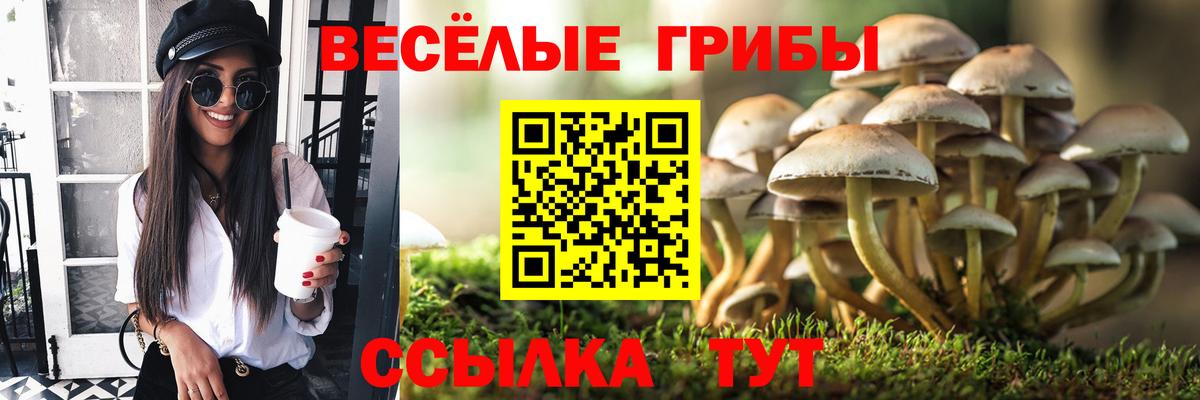 Галлюциногенные грибы мицелий Шадринск
